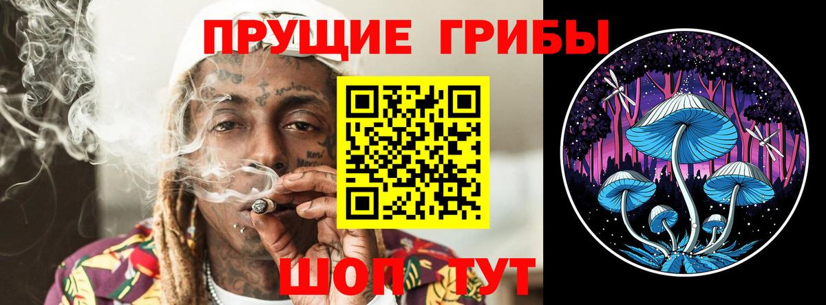 Псилоцибиновые грибы Cubensis  Вход с VPN  Ишим  Псилоцибиновые грибы Magic Shrooms 